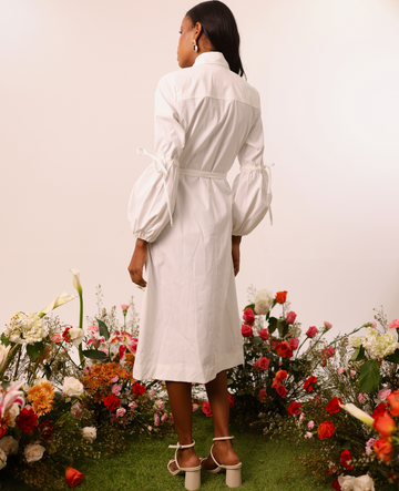Ashey Dress